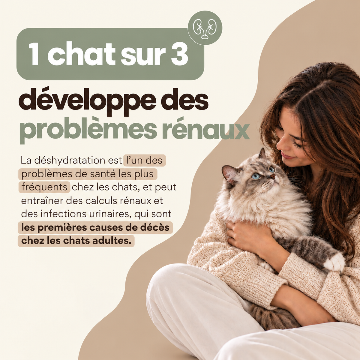 Fontaine à eau pour chat