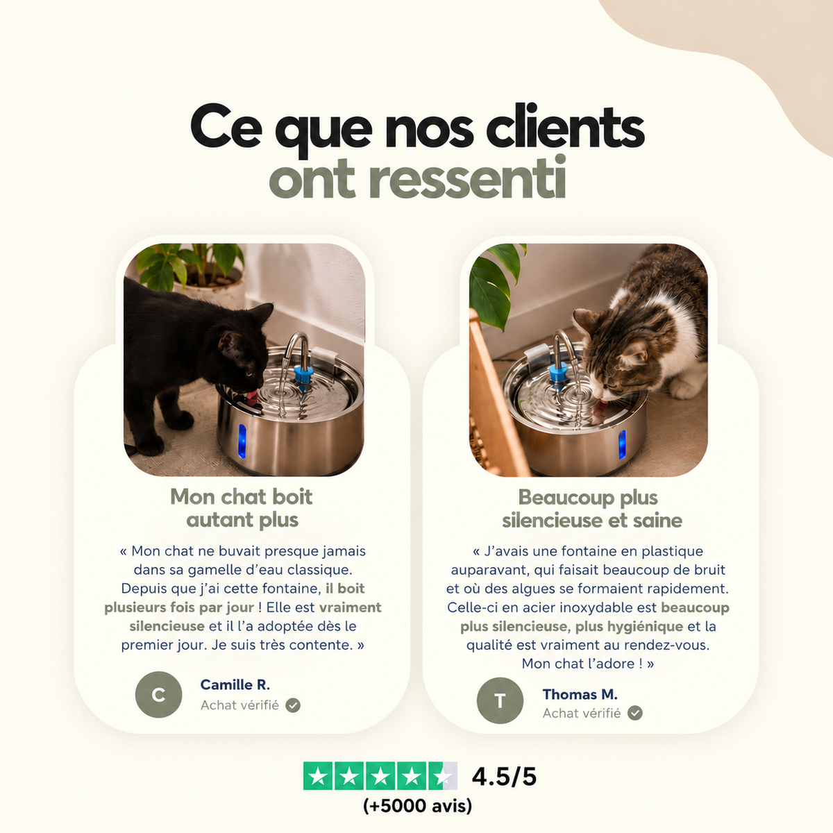 Fontaine à eau pour chat