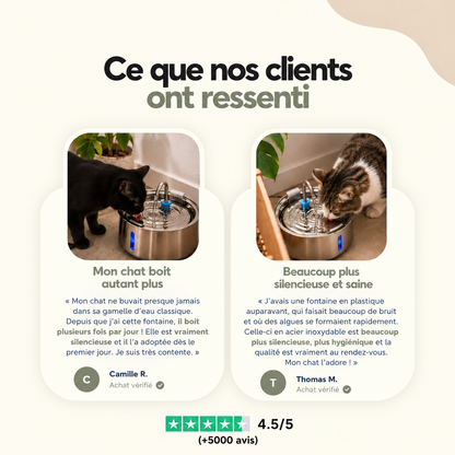 Fontaine à eau pour chat