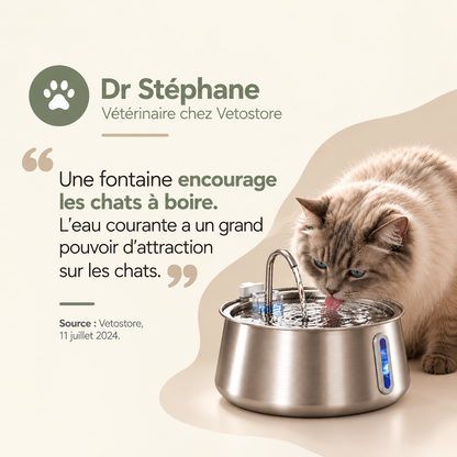 Fontaine à eau pour chat