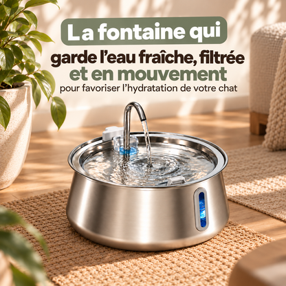 Fontaine à eau pour chat